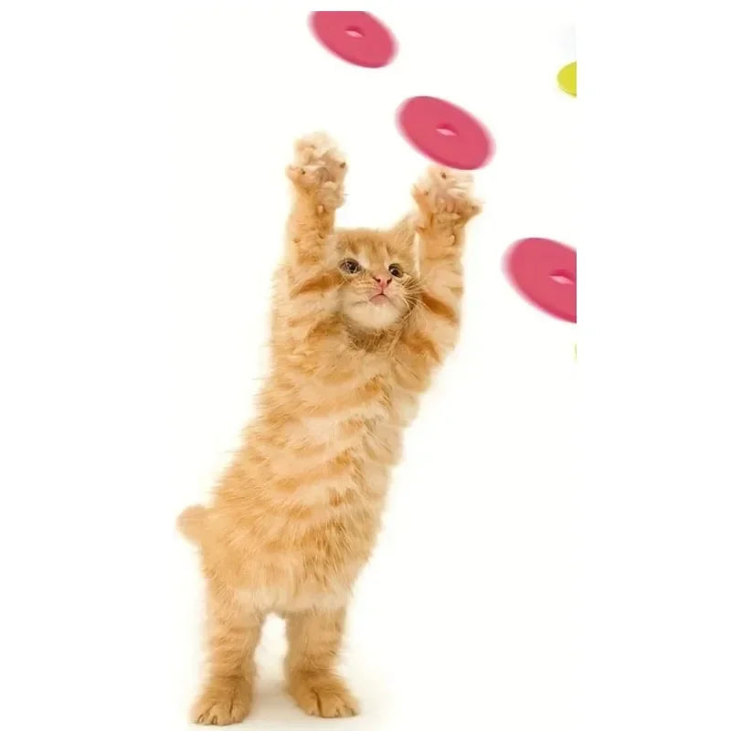 Interactive Turnip Cat Toy Launcher with 15 Reusable Foam Discs – Indoor Hunting Toy for Cats