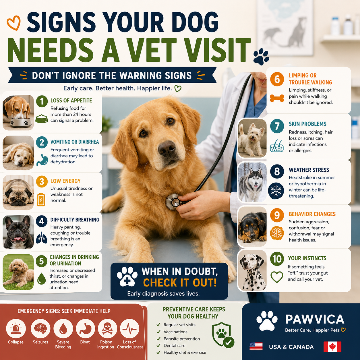 Signs Your Dog Needs a Vet Visit