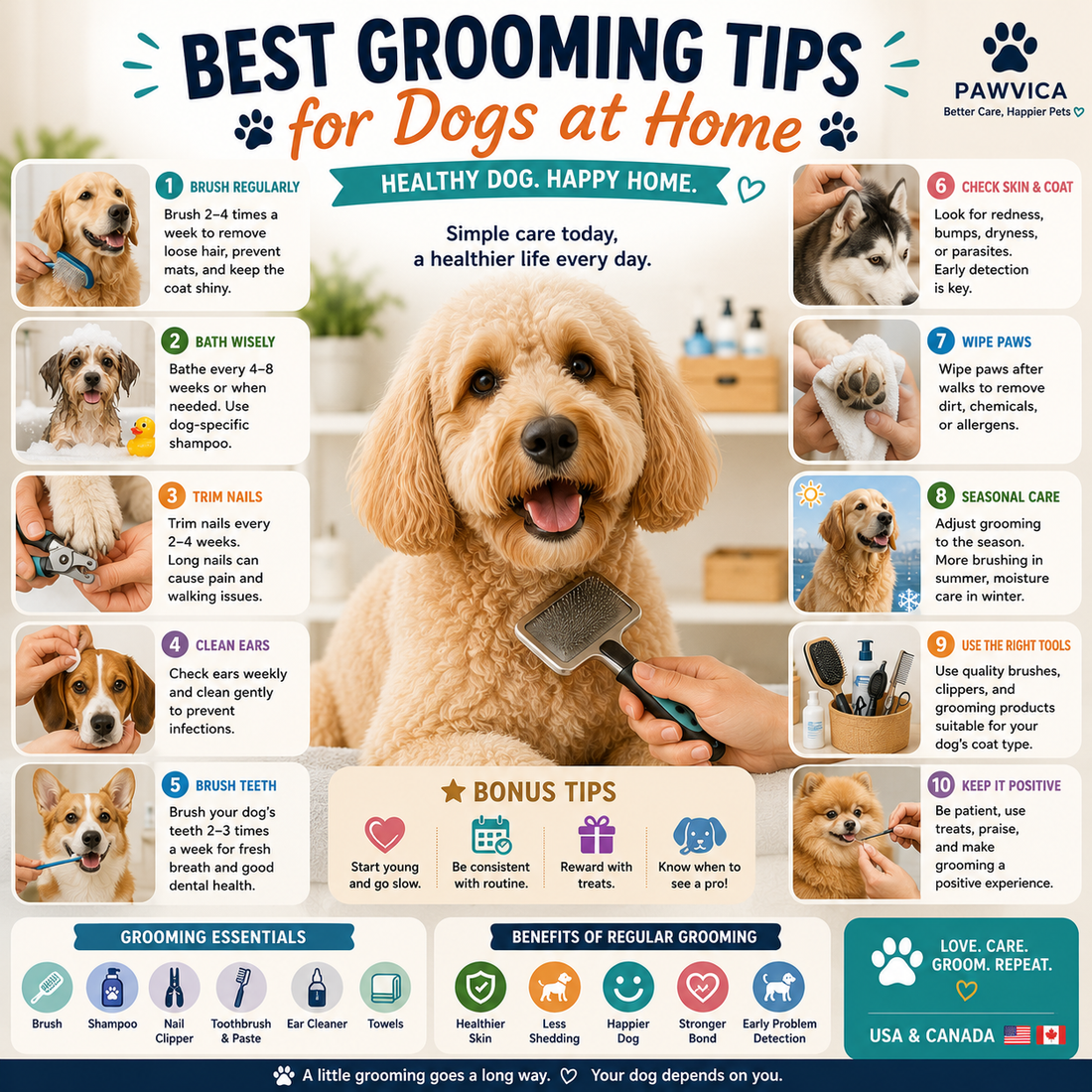Best Grooming Tips for Dogs at Home