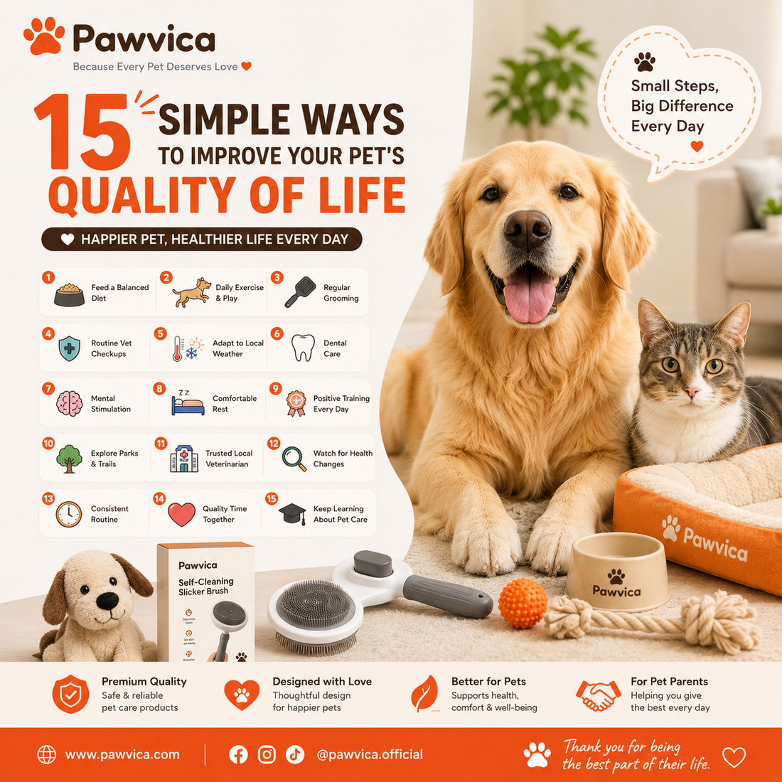 15 Simple Ways to Improve Your Pet's Quality of Life