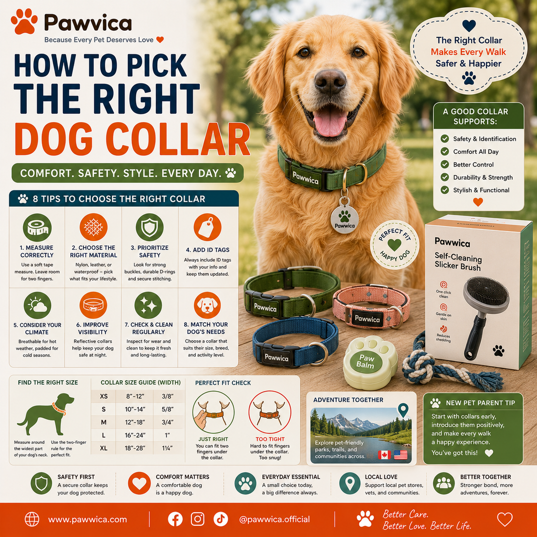 How to Pick the Right Dog Collar