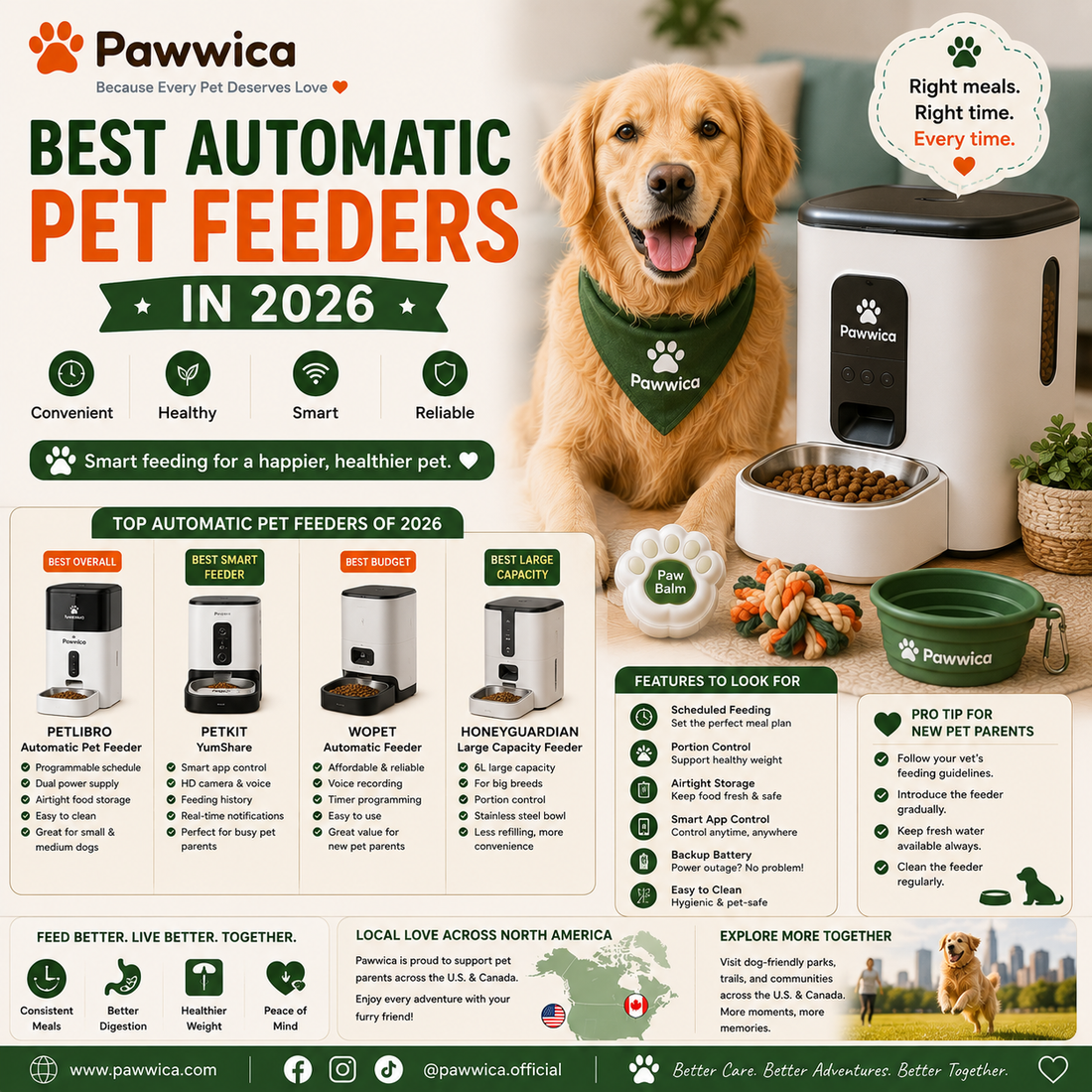 Best Automatic Pet Feeders