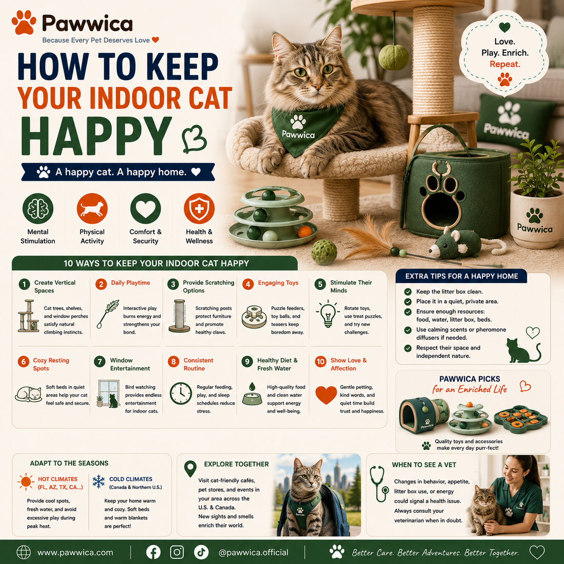 How to Keep Your Indoor Cat Happy