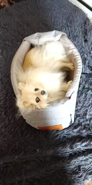 Portable Console Booster Car Seat & Travel Carrier for Small Dogs & Cats — customer photo 1