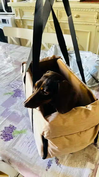 Portable Console Booster Car Seat & Travel Carrier for Small Dogs & Cats — customer photo 2