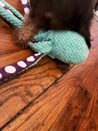 Interactive Octopus Plush Dog Toy – Squeaky, Durable & Soft Chew Toy for Small, Medium & Large Dogs — customer photo 5