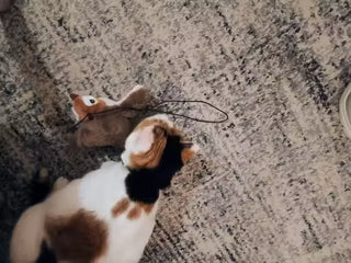 Rechargeable Interactive Chirping & Flapping Bird Toy for Cats & Small Dogs | Touch-Activated Plush Hunting Toy — customer photo 3