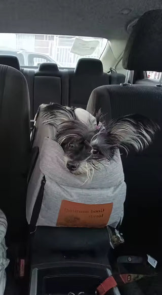 Portable Console Booster Car Seat & Travel Carrier for Small Dogs & Cats — customer photo 5