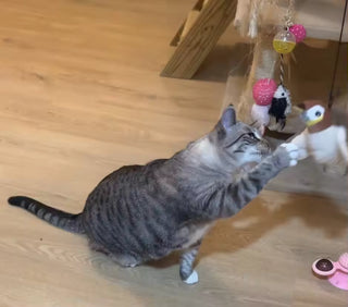 Rechargeable Interactive Chirping & Flapping Bird Toy for Cats & Small Dogs | Touch-Activated Plush Hunting Toy — customer photo 5