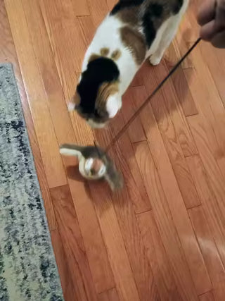 Rechargeable Interactive Chirping & Flapping Bird Toy for Cats & Small Dogs | Touch-Activated Plush Hunting Toy — customer photo 6