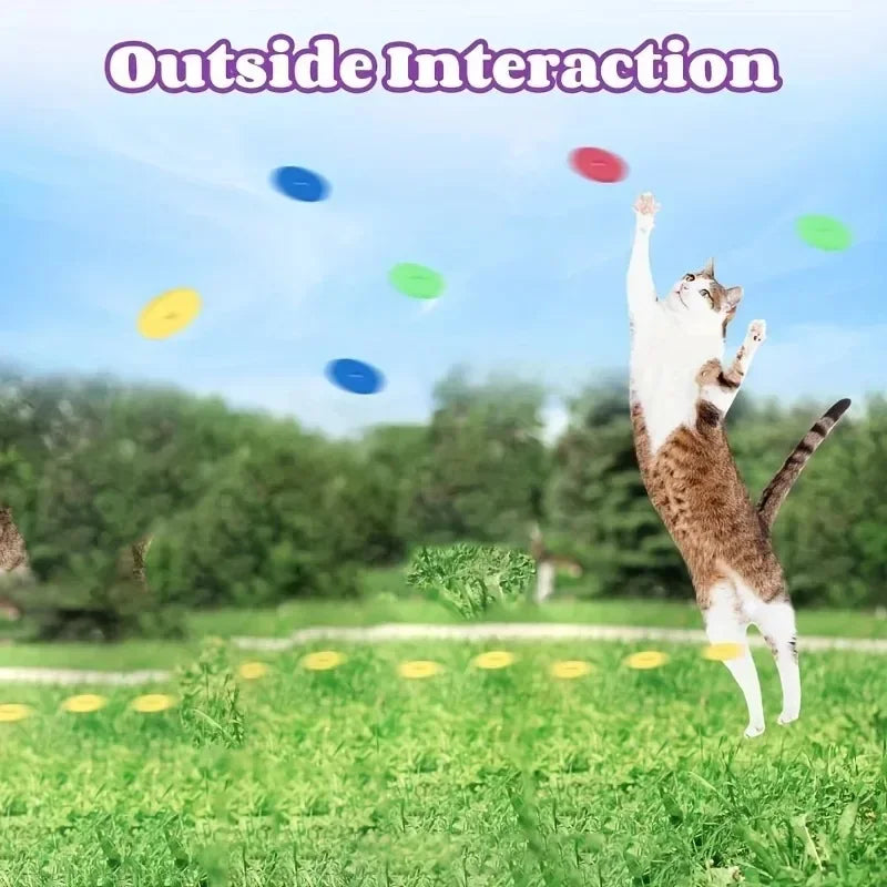 Interactive Turnip Cat Toy Launcher with 15 Reusable Foam Discs – Indoor Hunting Toy for Cats