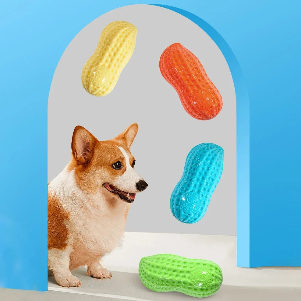 Peanut-Shaped Squeaky Dog Chew Toy – Durable Rubber Toy for Interactive Play & Dental Care