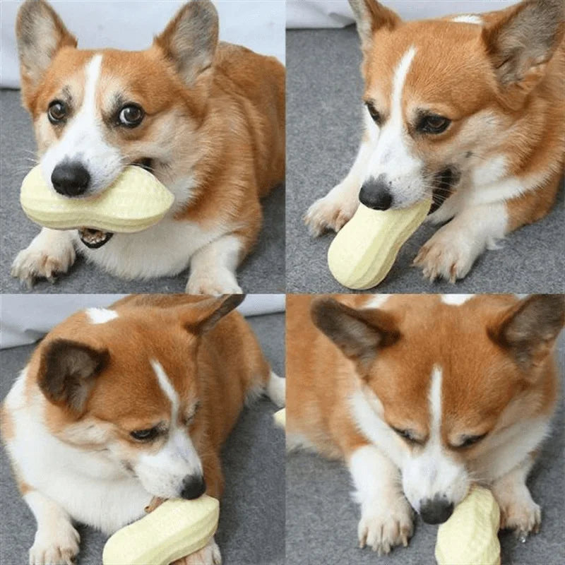 Peanut-Shaped Squeaky Dog Chew Toy – Durable Rubber Toy for Interactive Play & Dental Care