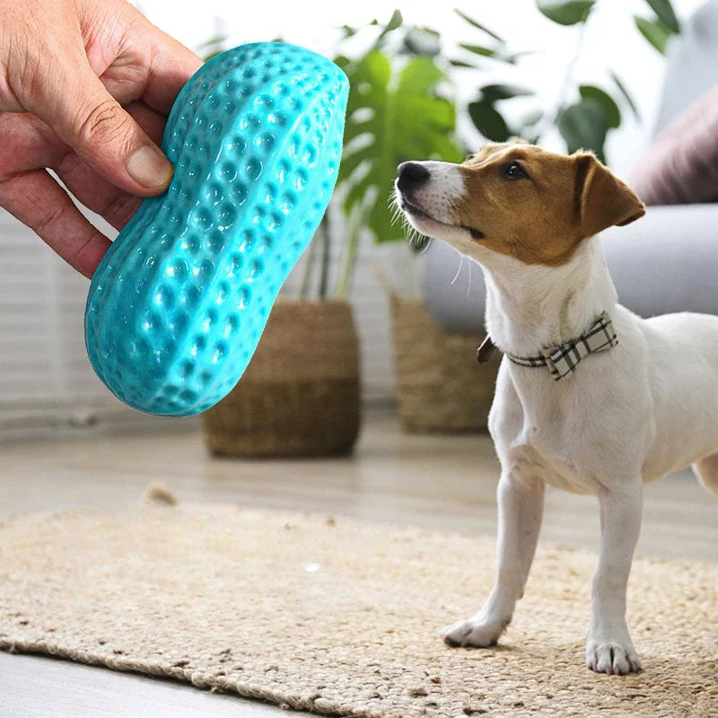 Peanut-Shaped Squeaky Dog Chew Toy – Durable Rubber Toy for Interactive Play & Dental Care