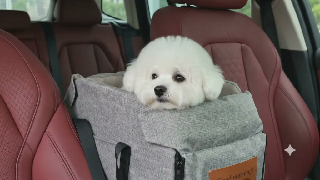 Portable Console Booster Car Seat & Travel Carrier for Small Dogs & Cats