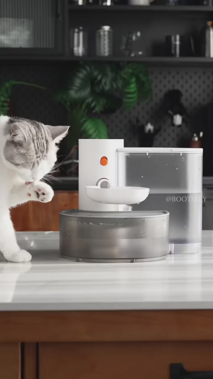 Automatic Cat Water Fountain with Flowing Filtered Water – Pet Water Dispenser for Cats & Small Dogs